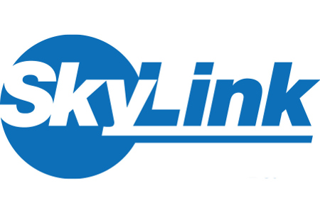 SkyLink Networking