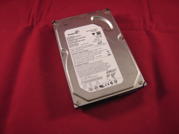 Seagate ST3808110AS