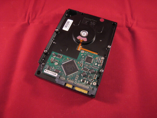 Seagate ST3808110AS