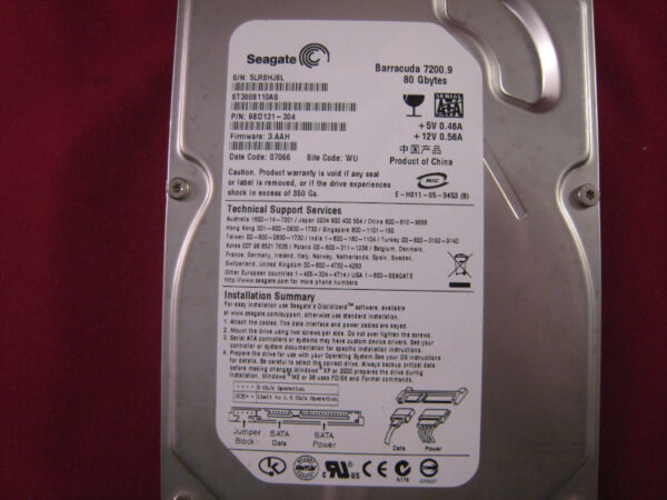 Seagate ST3808110AS