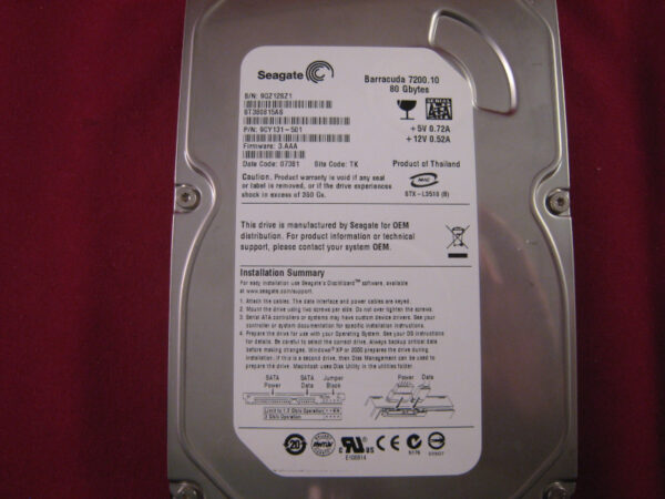 Seagate ST380815AS