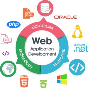 uds web development service